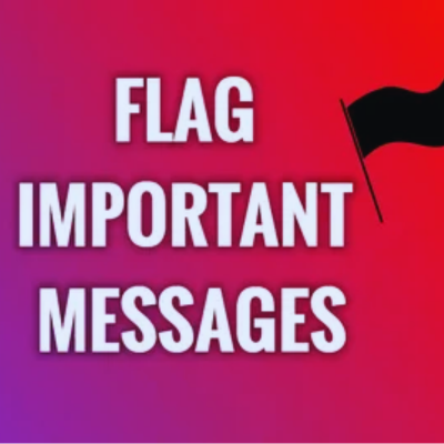 What the Flag Means on Instagram